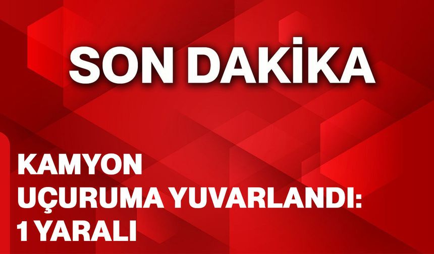 Kamyon uçuruma yuvarlandı: 1 yaralı