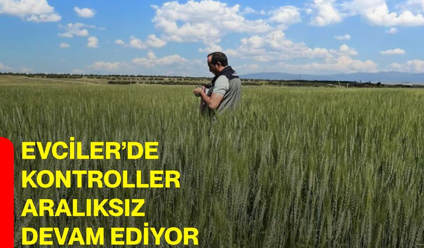 Evciler’de kontroller aralıksız devam ediyor