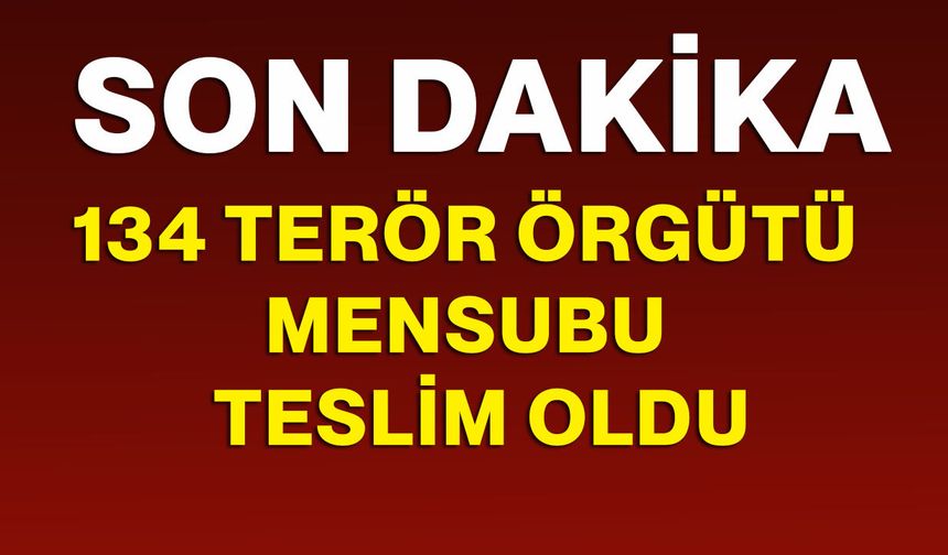 134 Terör Örgütü Mensubu İkna Yoluyla Teslim Oldu