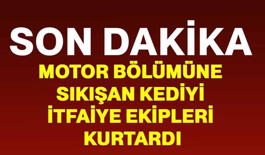 Motor bölümüne sıkışan kediyi itfaiye ekipleri kurtardı