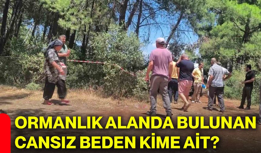 Ormanlık alanda bulunan cansız beden kime ait?