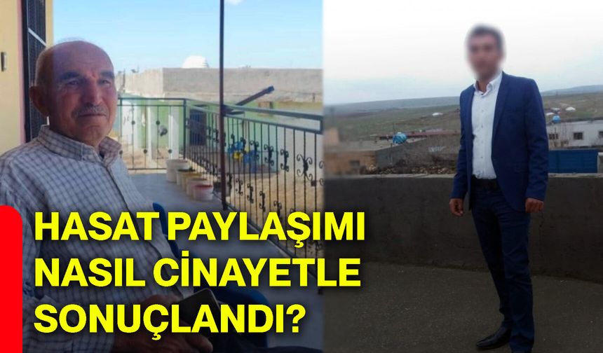 Hasat paylaşımı nasıl cinayetle sonuçlandı?