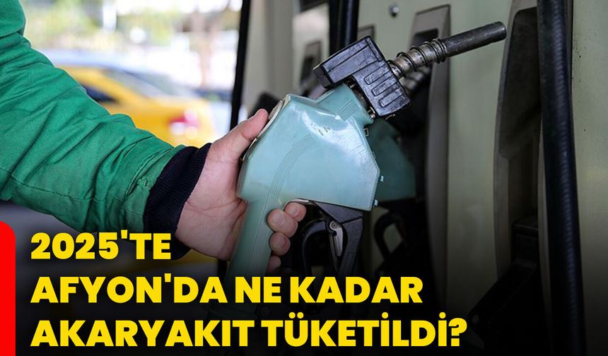 2025'te Afyonkarahisar'da ne kadar akaryakıt tüketildi?