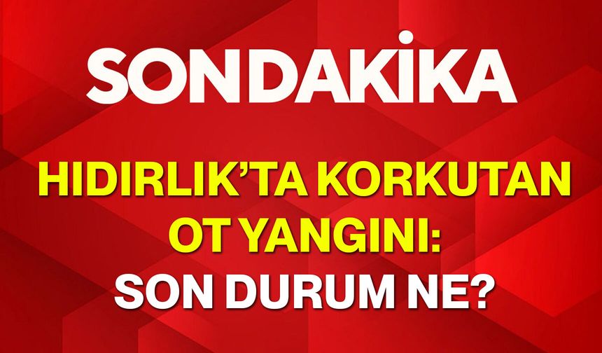 Hıdırlık’ta korkutan ot yangını: Son durum ne?