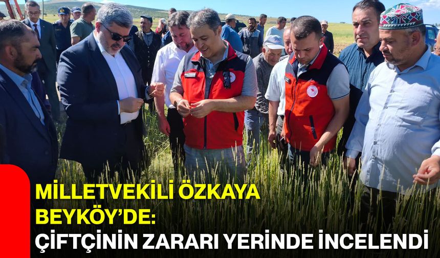 Milletvekili Özkaya Beyköy’de: Çiftçinin zararı yerinde incelendi