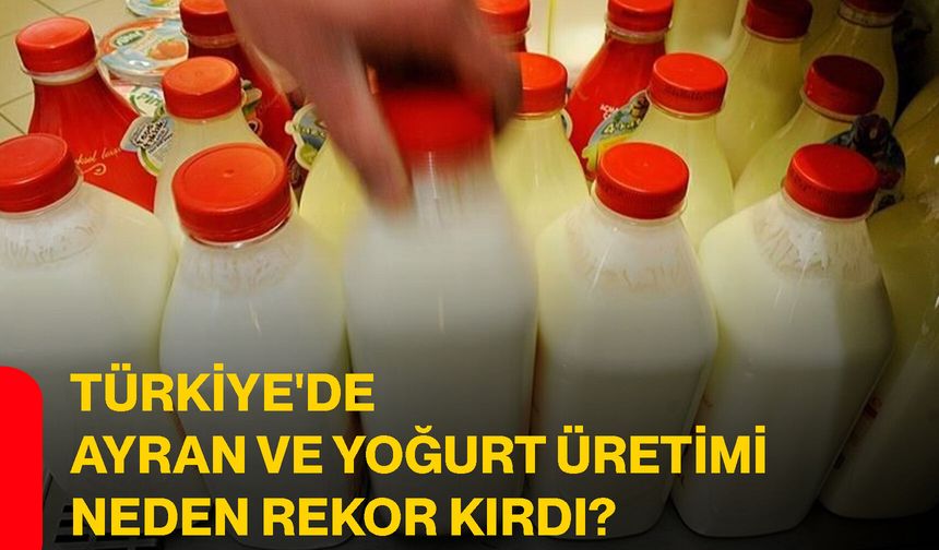 Türkiye'de ayran ve yoğurt üretimi neden rekor kırdı?