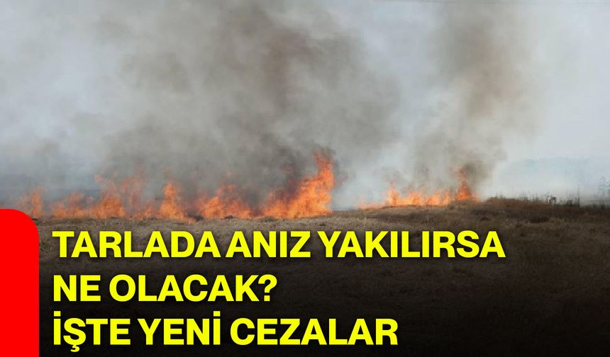 Tarlada anız yakılırsa ne olacak? İşte yeni cezalar