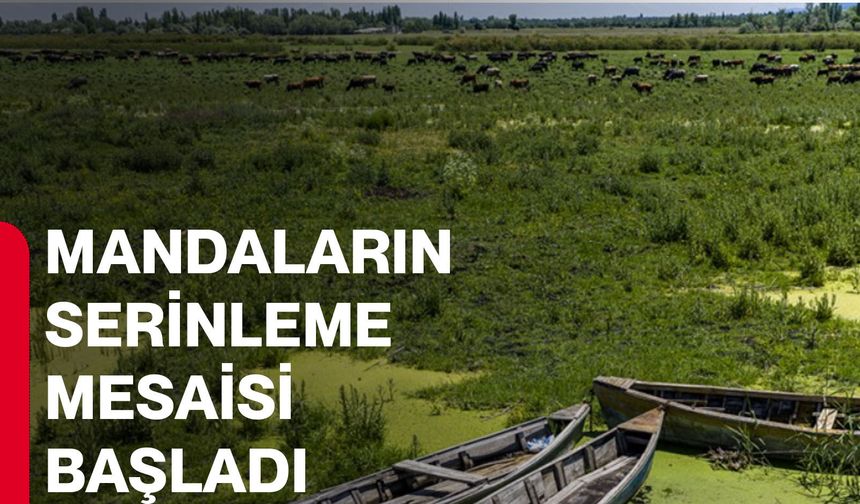 Mandaların serinleme mesaisi başladı