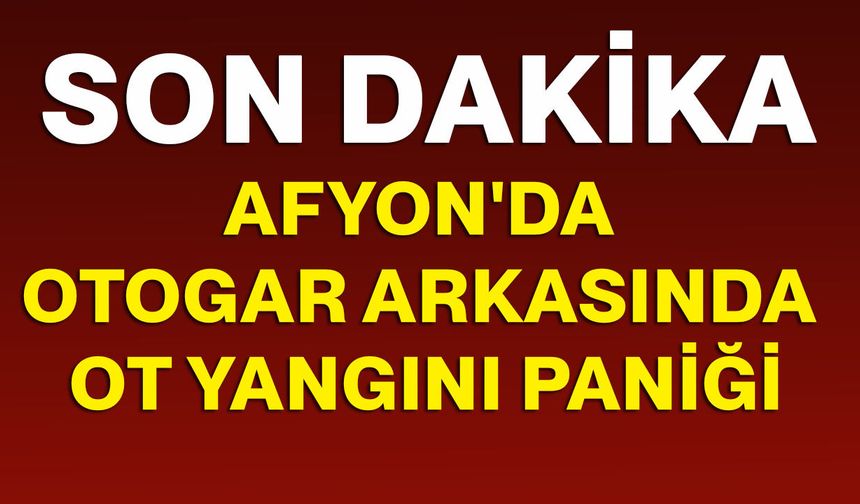 Afyonkarahisar'da otogar arkasında ot yangını paniği