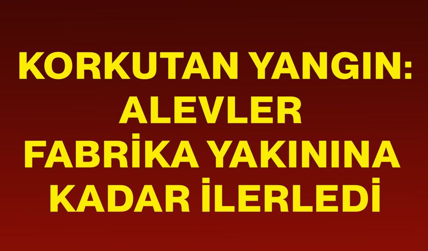 Korkutan yangın: Alevler fabrika yakınına kadar ilerledi