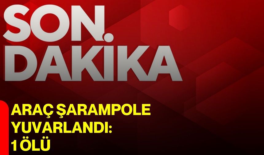Araç şarampole yuvarlandı: 1 ölü