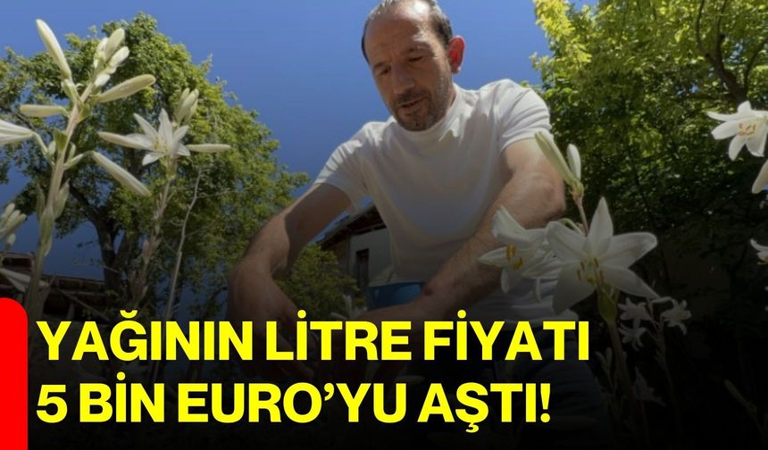 Yağının litre fiyatı 5 bin Euro’yu aştı!