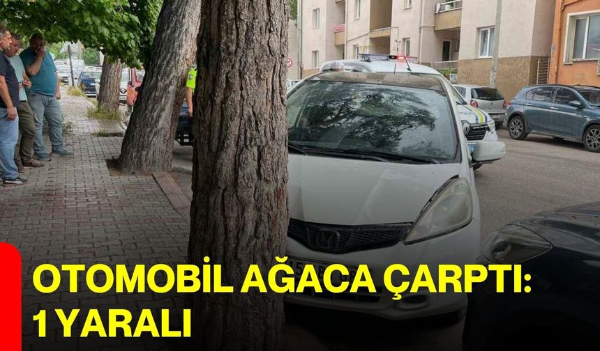 Otomobil ağaca çarptı: 1 yaralı