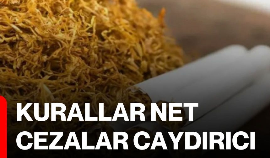 Kurallar net, cezalar caydırıcı