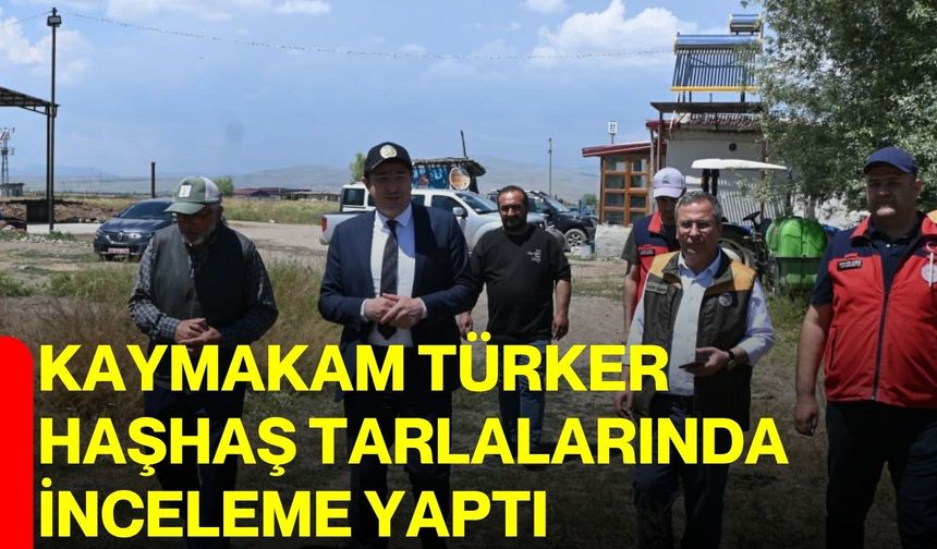 Kaymakam Türker haşhaş tarlalarında inceleme yaptı