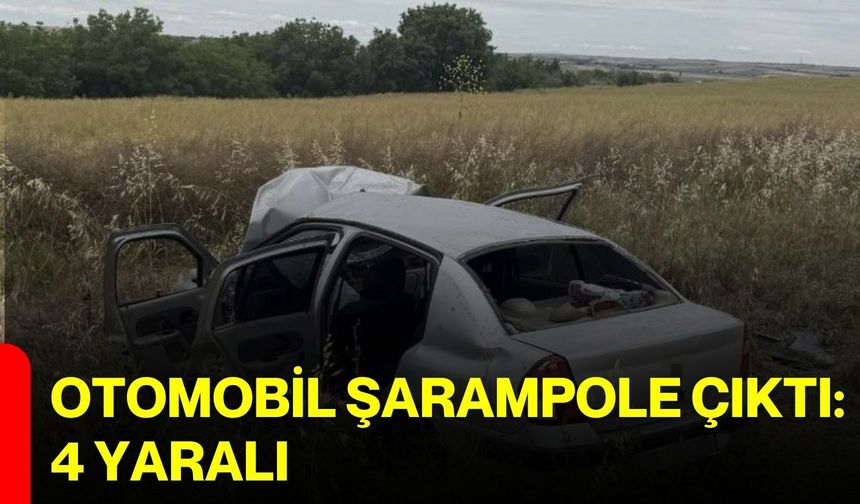 Otomobil şarampole çıktı: 4 yaralı