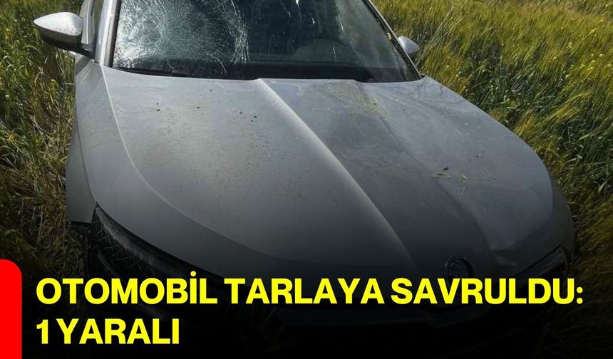 Otomobil tarlaya savruldu: 1 yaralı