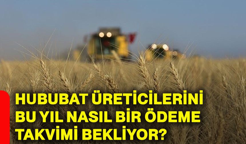 Hububat üreticilerini bu yıl nasıl bir ödeme takvimi bekliyor?
