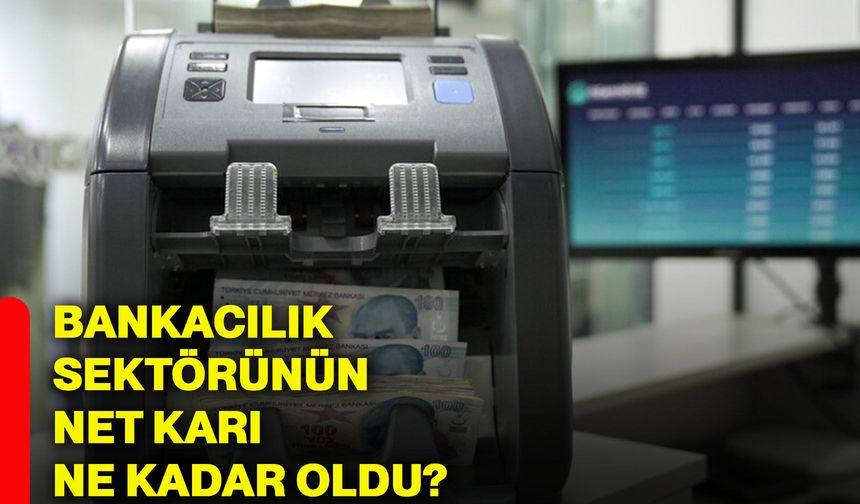Bankacılık sektörünün net karı ne kadar oldu?