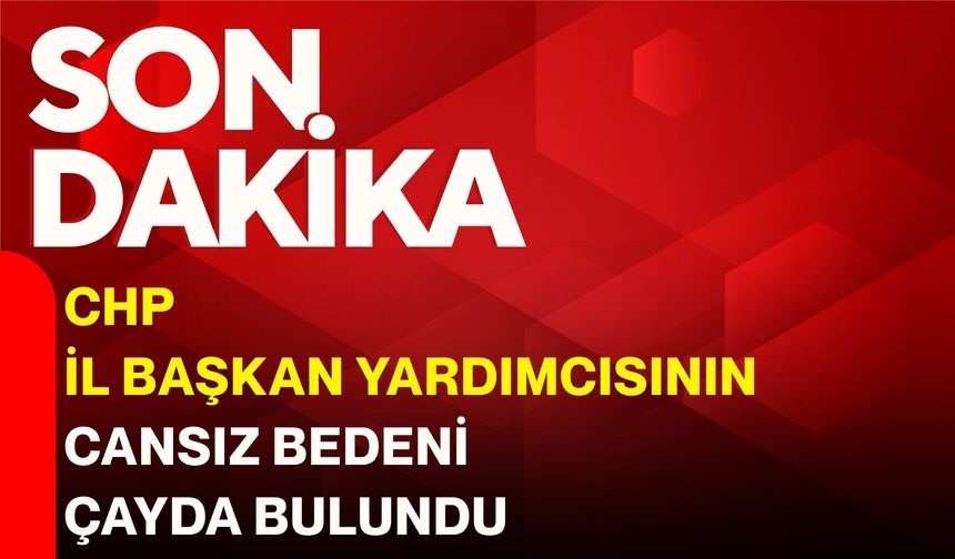 CHP İl Başkan Yardımcısının cansız bedeni çayda bulundu!