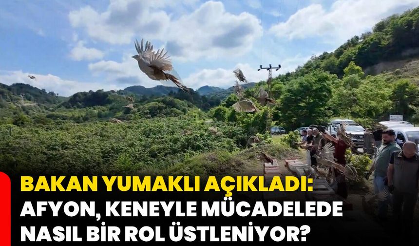 Bakan Yumaklı açıkladı: Afyon, keneyle mücadelede nasıl bir rol üstleniyor?