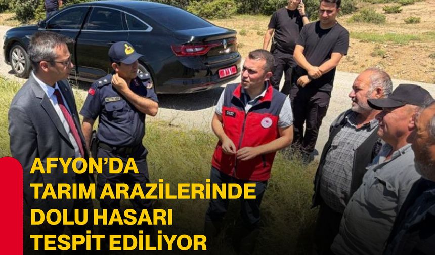 Afyon’da tarım arazilerinde dolu hasarı tespit ediliyor