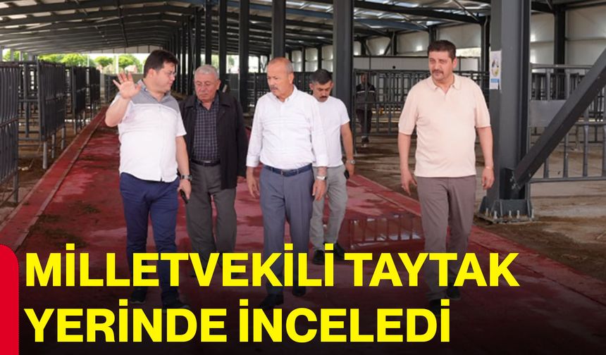 Milletvekili Taytak yerinde inceledi