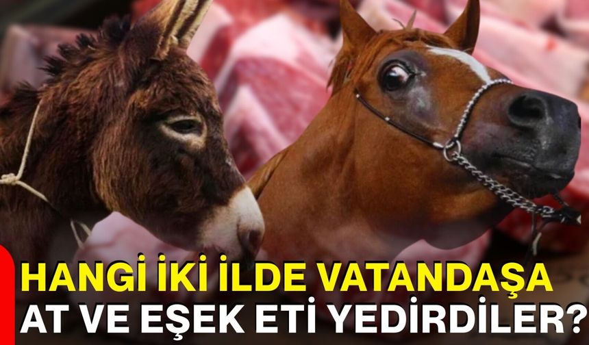 Hangi iki ilde vatandaşa at ve eşek eti yedirdiler?