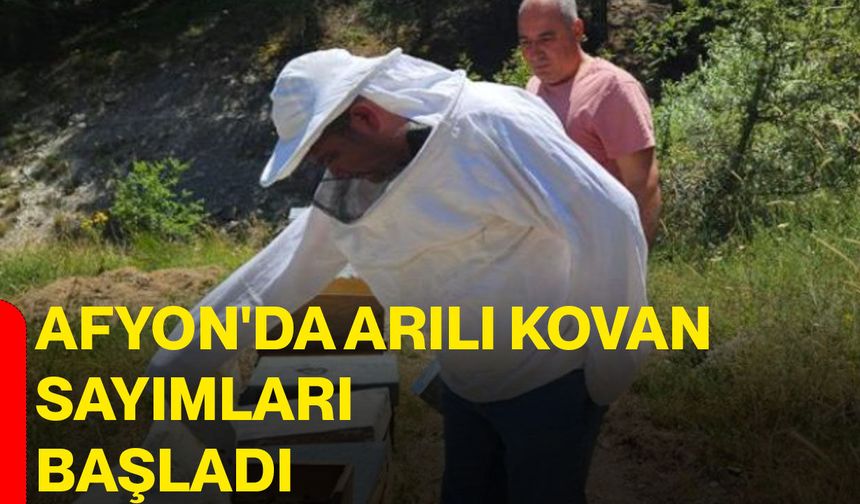 Afyon'da arılı kovan sayımları başladı