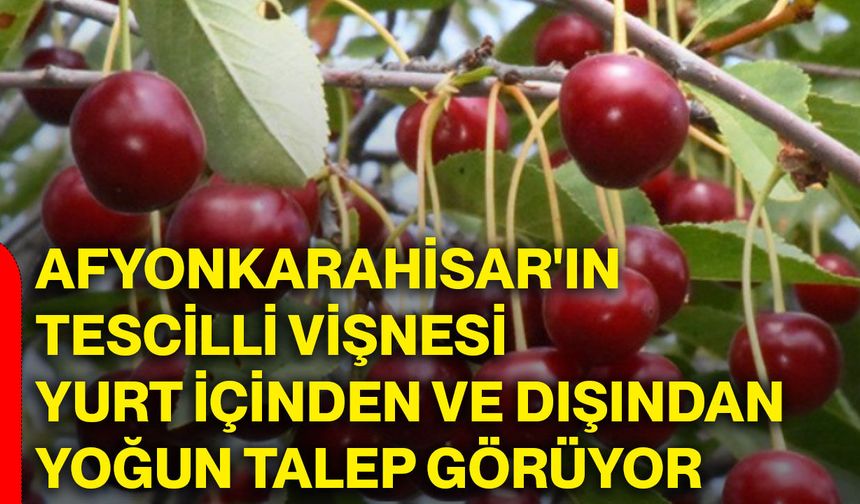 Afyonkarahisar'ın tescilli vişnesi yurt içinden ve dışından yoğun talep görüyor