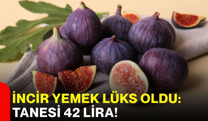 İncir yemek lüks oldu: Tanesi 42 lira!