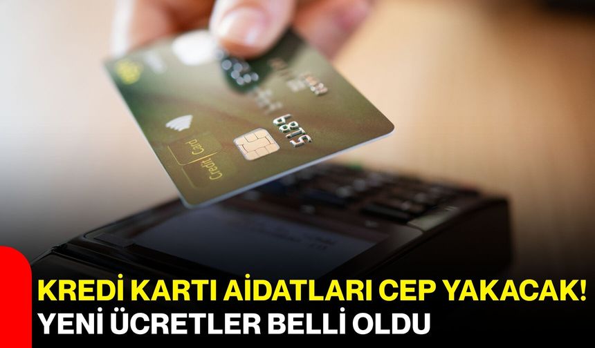 Kredi kartı aidatları cep yakacak! Yeni ücretler belli oldu