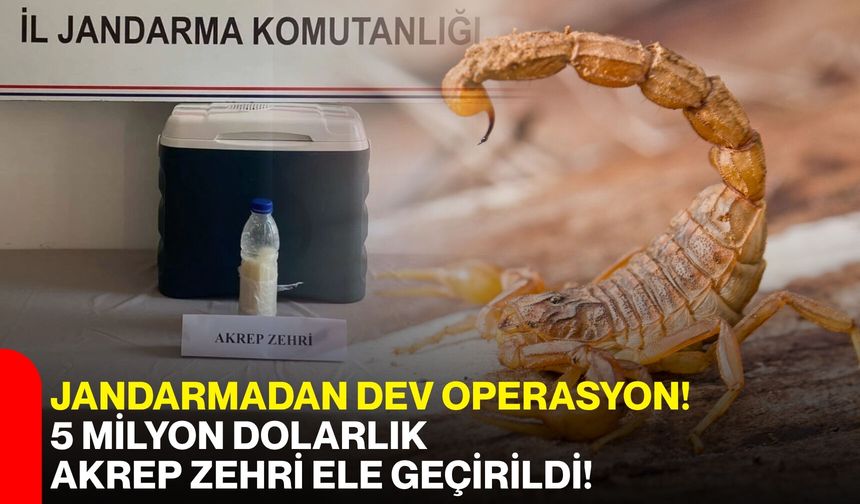 Jandarmadan dev operasyon! 5 milyon dolarlık akrep zehri ele geçirildi!