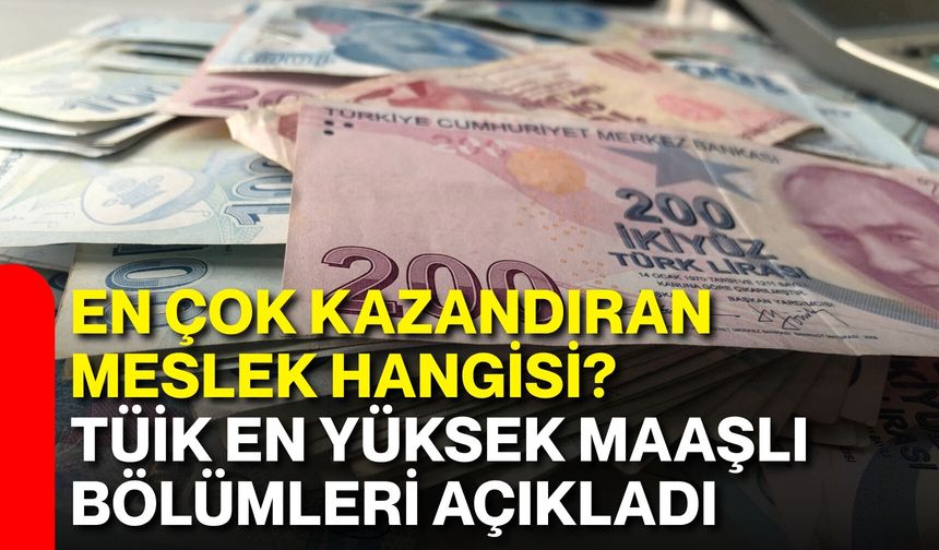 En çok kazandıran meslek hangisi? TÜİK en yüksek maaşlı bölümleri açıkladı