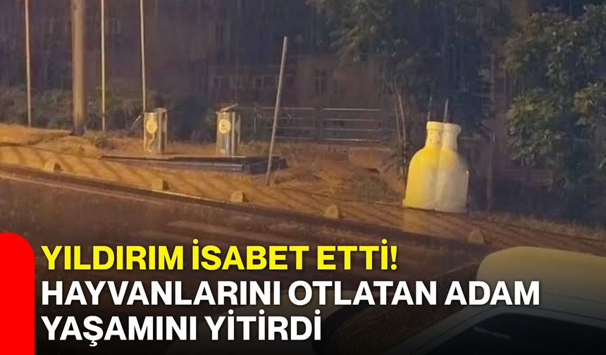 Yıldırım isabet etti! Hayvanlarını otlatan adam yaşamını yitirdi