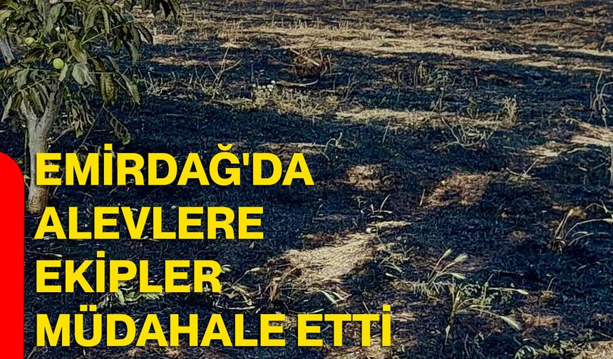Emirdağ'da alevlere ekipler müdahale etti