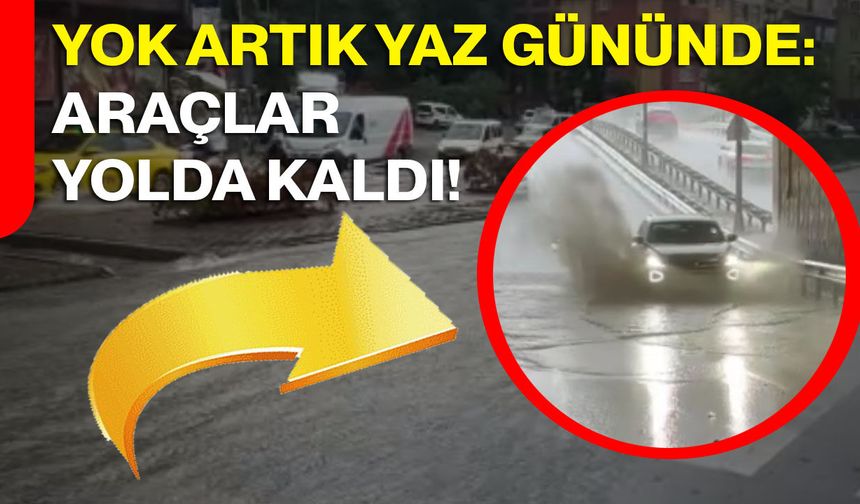 Yok artık yaz gününde: Araçlar yolda kaldı!