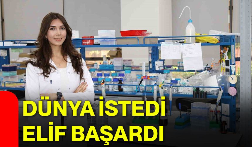 Dünya istedi, Elif başardı