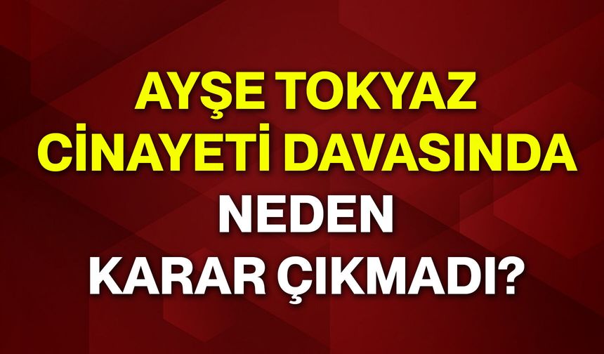 Ayşe Tokyaz cinayeti davasında neden karar çıkmadı?