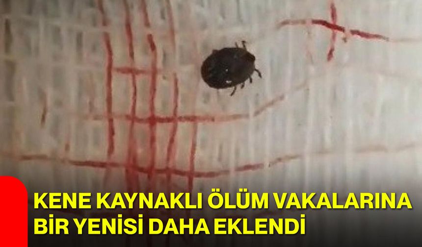 Kene kaynaklı ölüm vakalarına bir yenisi daha eklendi
