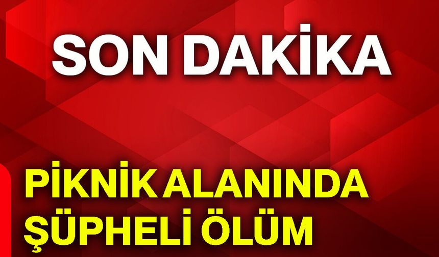Piknik alanında şüpheli ölüm