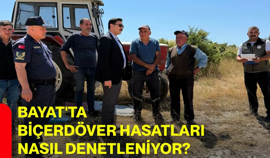 Bayat'ta biçerdöver hasatları nasıl denetleniyor?