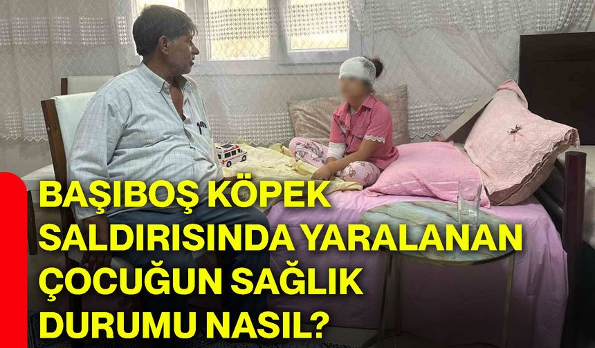 Başıboş köpek saldırısında yaralanan çocuğun sağlık durumu nasıl?