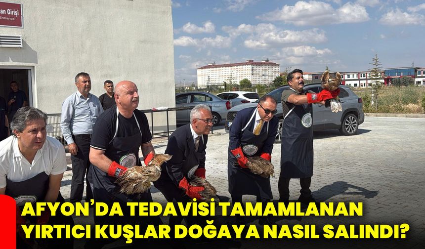 Afyon’da tedavisi tamamlanan yırtıcı kuşlar doğaya nasıl salındı?