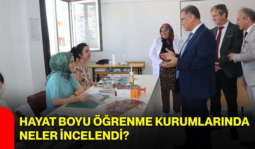 Hayat boyu öğrenme kurumlarında neler incelendi?