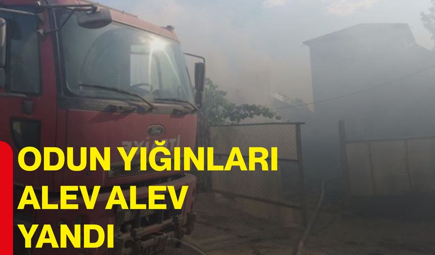 Odun yığınları alev alev yandı