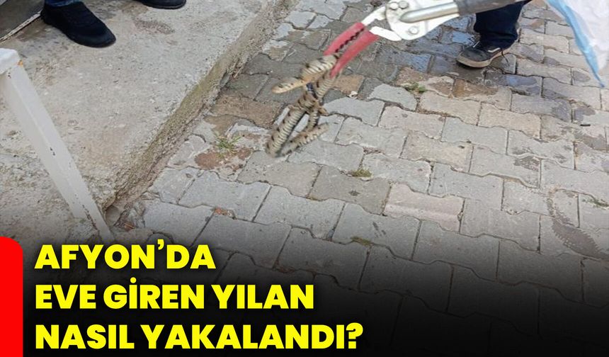 Afyon’da eve giren yılan nasıl yakalandı?
