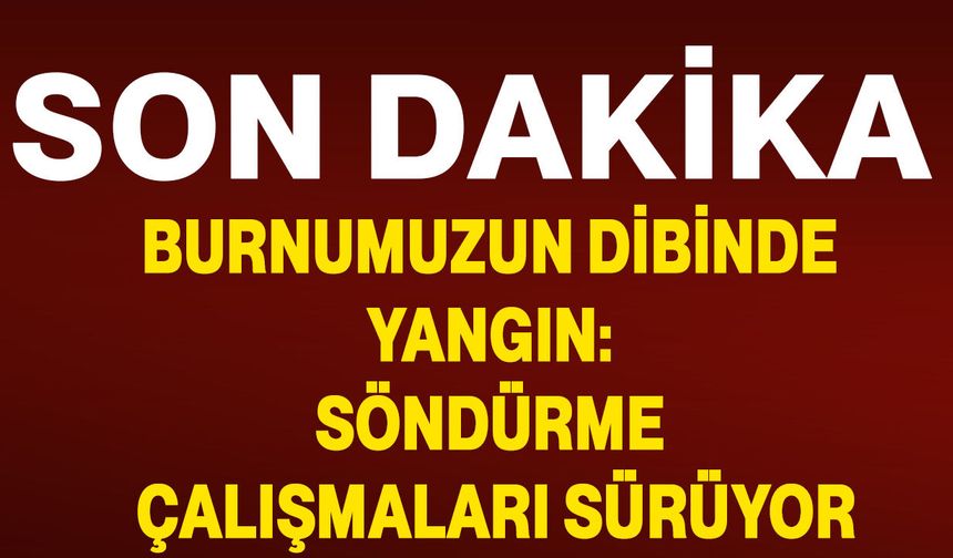 Burnumuzun dibinde yangın: Söndürme çalışmaları sürüyor.