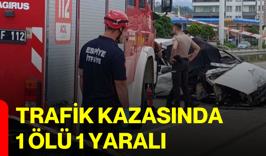 Trafik kazasında 1 ölü 1 yaralı