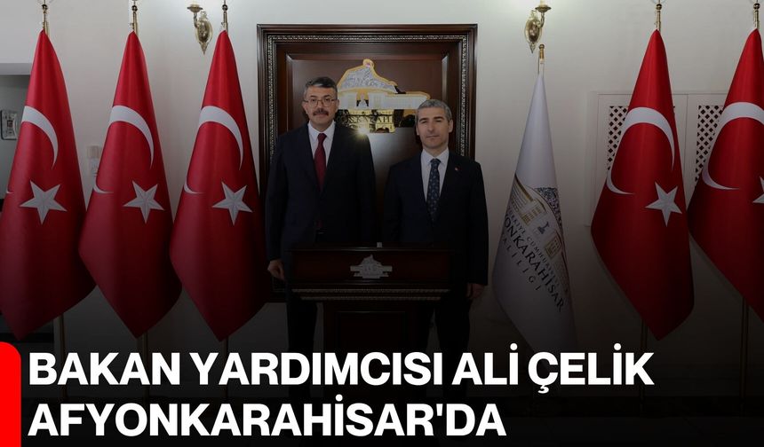 Bakan Yardımcısı Ali Çelik Afyonkarahisar'da